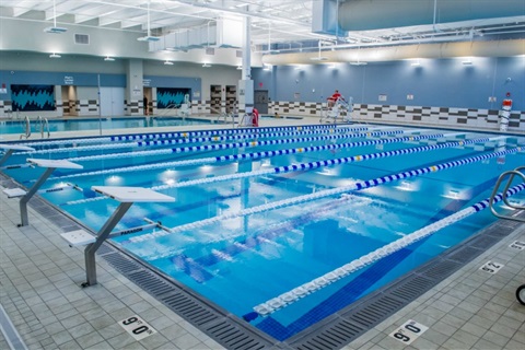 Sized-Pool1.jpg